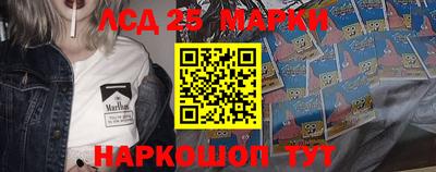 шишки Лесосибирск