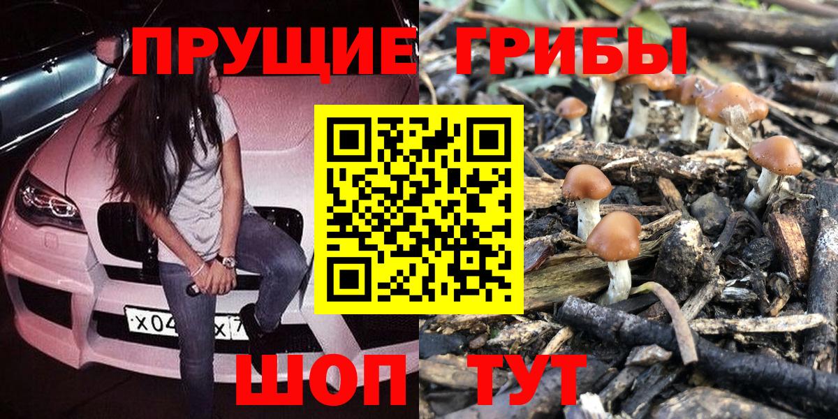Галлюциногенные грибы Psilocybine cubensis  Вход с VPN  Гусь-Хрустальный 